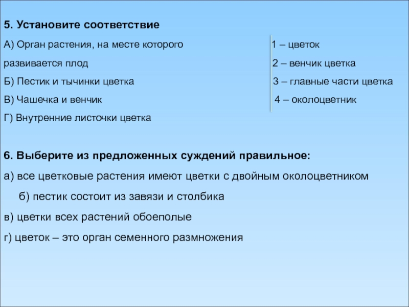 Установите соответствие между группами растений. Орган растения на месте которого развивается плод. Установите соответствие а органы растения. Установите соответствие. Орган растения плод. Соответствие между органом растения и его функцией.