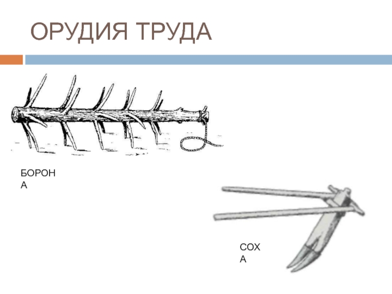 Соха и борона картинки