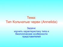 Тема: Тип Кольчатые черви (Annelida)