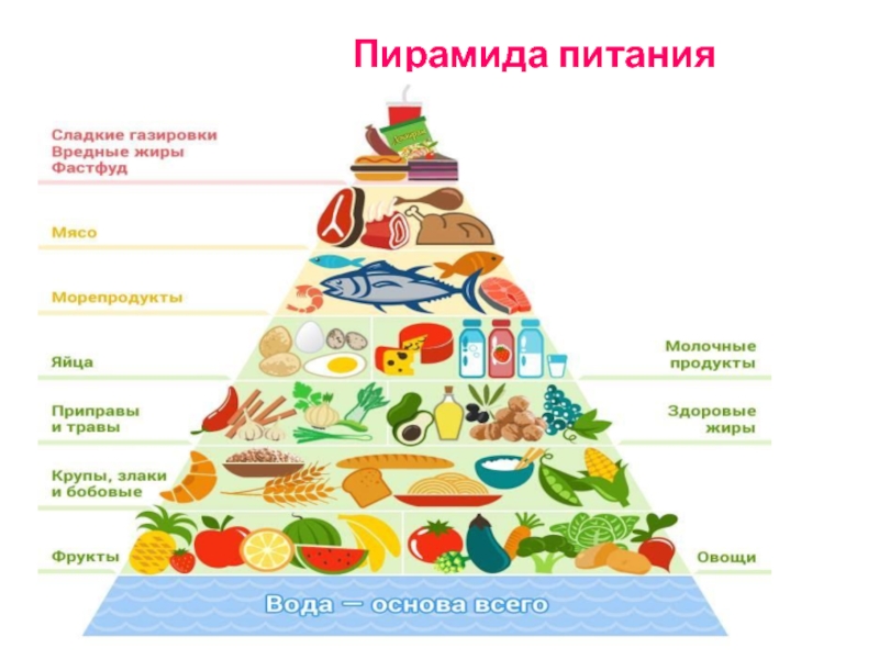 Укажите уровни пищевой пирамиды начиная с продуктов. Пирамида питания при ожирении. Пирамида питания пищевая пирамида для детей. Пирамида питания здорового человека для детей. Пищевая пирамида дневной рацион.