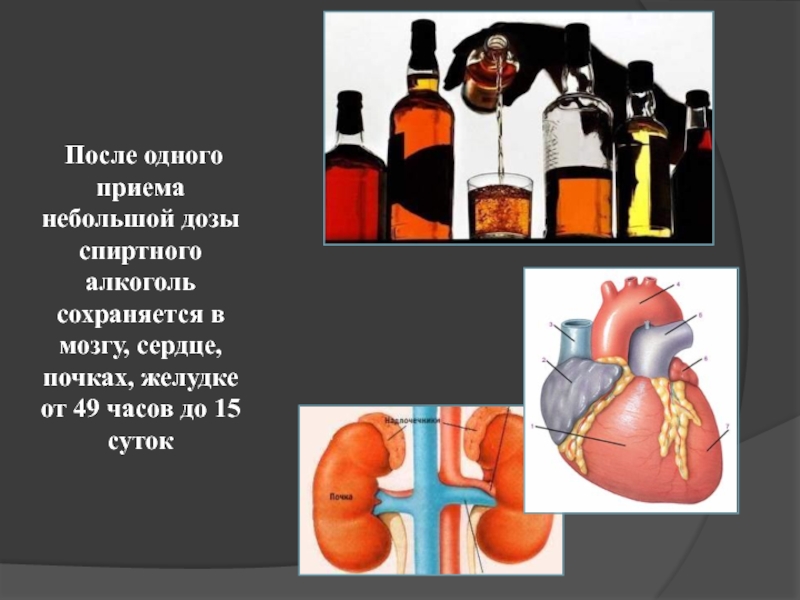 После первого приема. Алкоголь сохраняется в желудке. После 10 часов алкоголь. Алкоголь и лекарства от желудка. Найз и алкоголь: последствия взаимодействия.