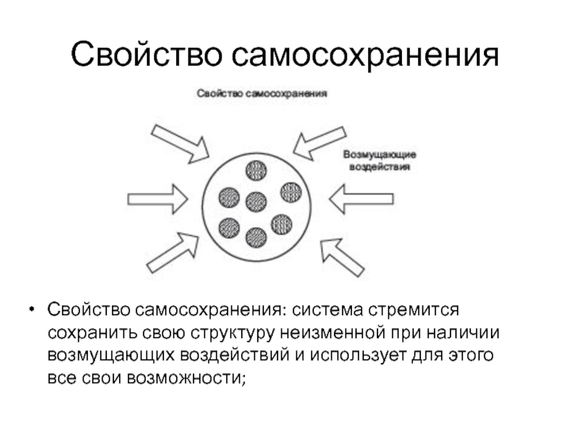 Система стремится сохранить свою структуру. Закон самосохранения картинки.