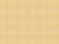 Наcкальная живопись
Первые
художники
Земли