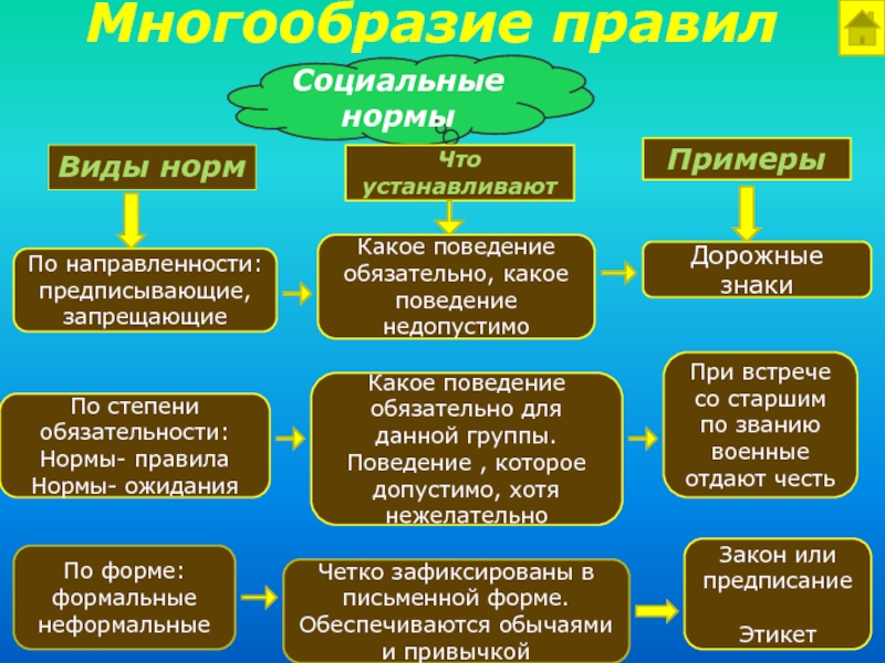 Виды норм социального поведения