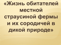 Жизнь обитателей местной страусиной фермы и их сородичей в дикой природе