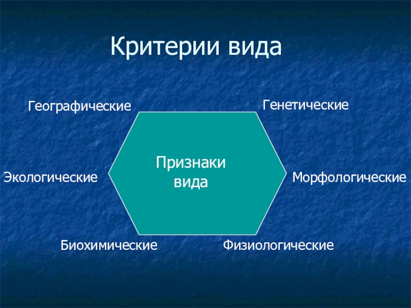 15 критериев. Физиологический генетические и экологические географические. Признаки вида. Эколого-физиологические данные натрия. Типы экскреции: биохимический и экологический аспекты..