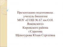 Презентация по биологии Строение и жизнедеятельность бактерий