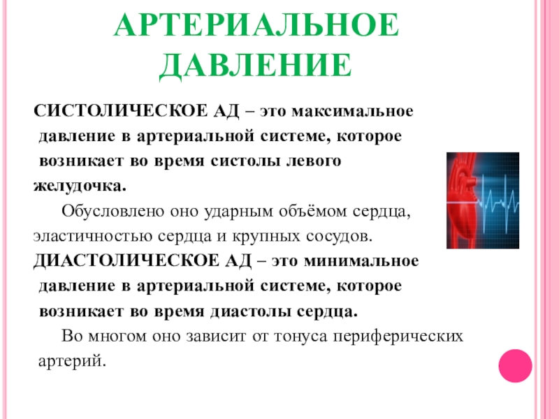 Максимальное давление. Системное артериальное давление. Методы исследования артериального пульса. Свойства артериального давления. Максимальное давление это.