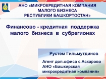 Финансово - кредитная поддержка
малого бизнеса в субрегионах
Рустем