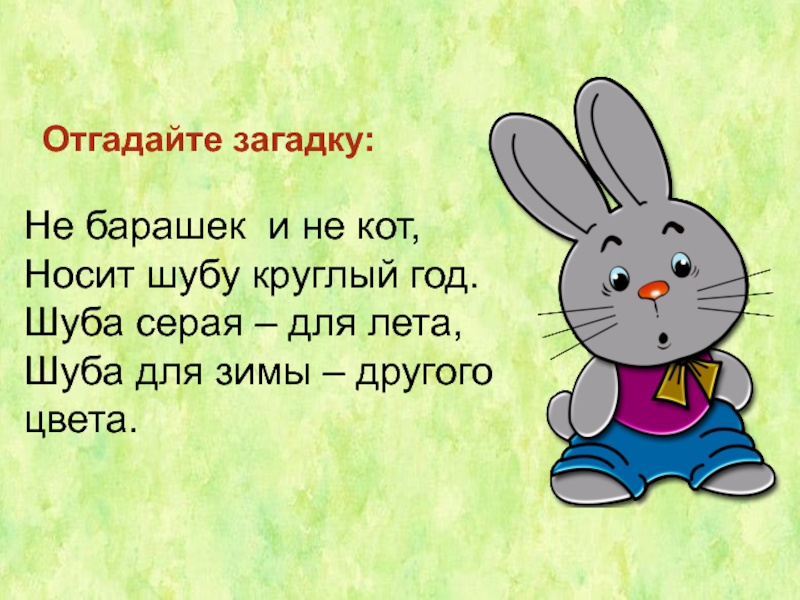 Зайцев спой. Загадка про зайца для детей. Загадка про зайца для детей 5-6 лет. Загадка про зайца для дошкольников. Загадка про зайчика для детей.