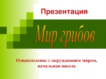 Мир грибов