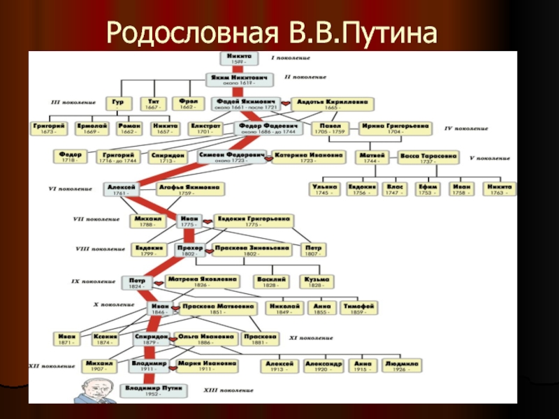 Схема истории рода