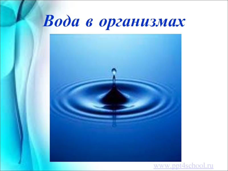 Вода в организмахwww.ppt4school.ru