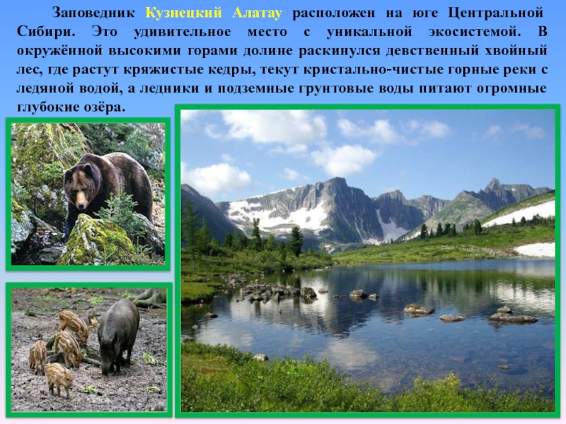 Заповедник Кузнецкий Алатау расположен на юге Центральной Сибири. Это удивительное место с уникальной экосистемой. В