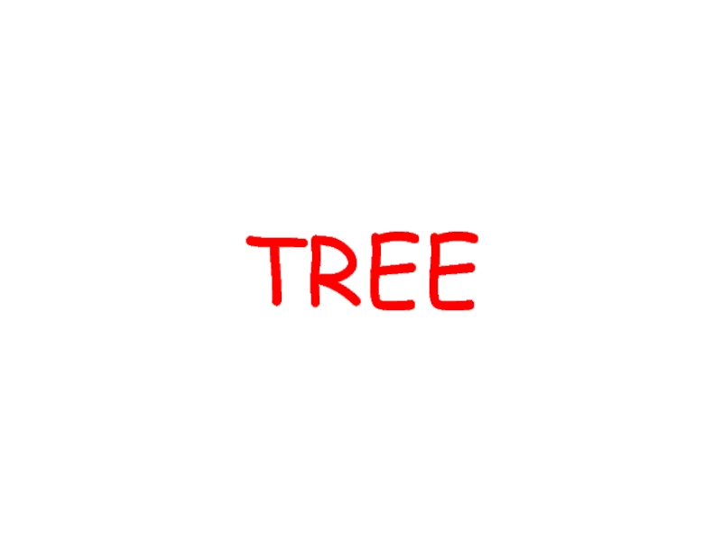 Презентация Дерево - Tree (на английском языке)