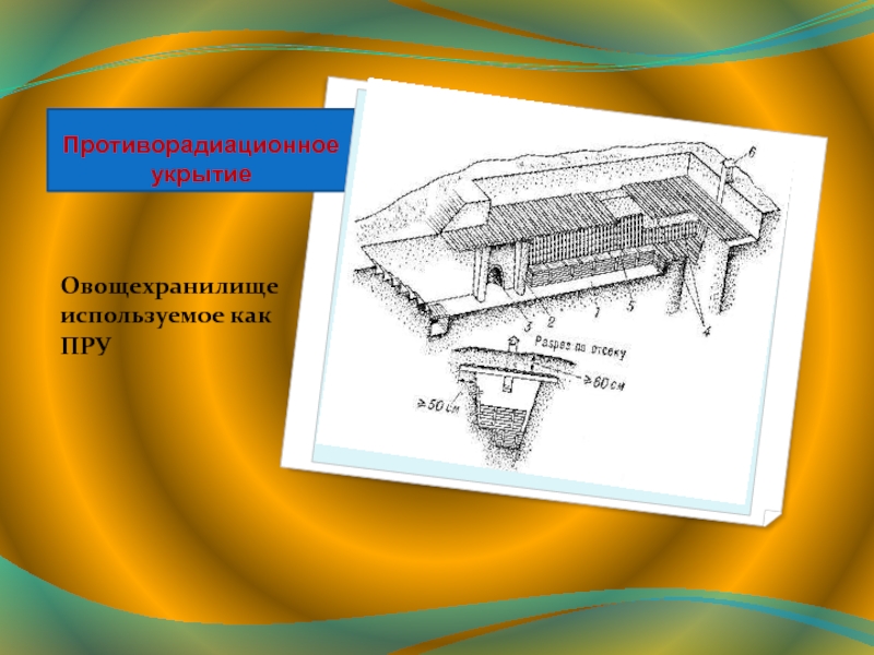 Противорадиационное укрытие презентация