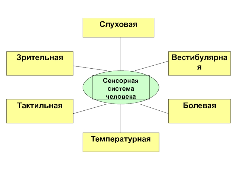 Вредные факторы среды обитания в современных условиях схема