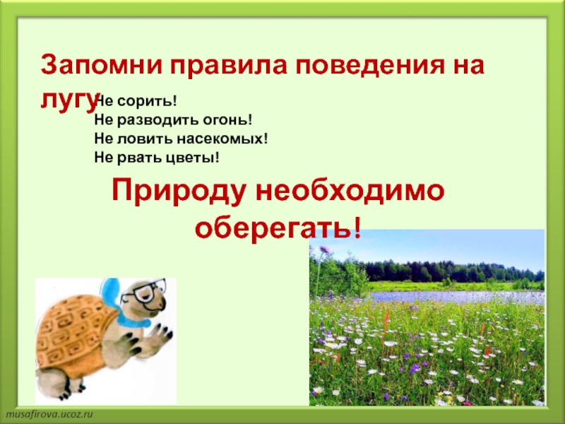 Составь памятку как вести себя на лугу к правилам поведения нарисуй условные знаки