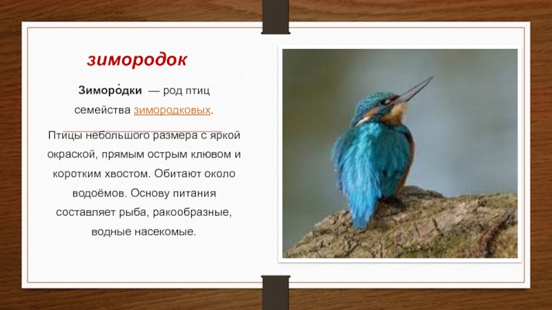 Красная книга приморского края презентация