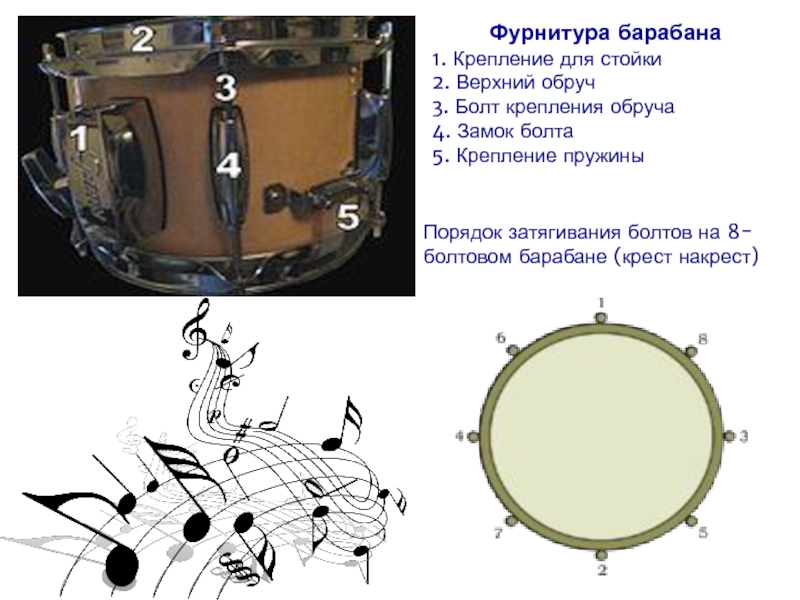Включи функцию барабан. Фурнитура для барабанов. Ритмы на барабанах. Ритмы для барабанов для пионеров. Барабаны названия частей.