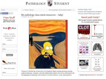 1. Физиология гемостаза