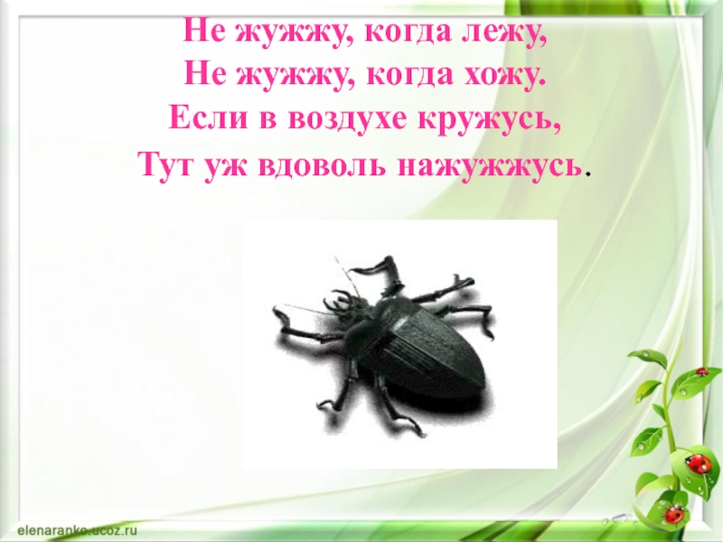 Не жужжу когда сижу. Жужжащие стихи. Жужжу жужжу жужжу жужжу жужжу. Жук жужжит стих. Не жужжу.