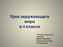 Презентация к уроку по окружающему миру 