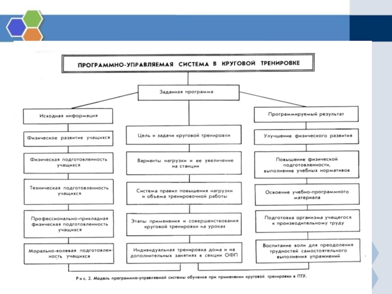 Систему телесного развития