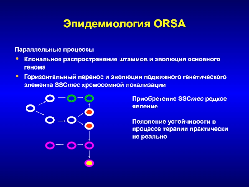 Химическая эволюция процессы. Подвижные генетические элементы. Подвижные генетические элементы и Эволюция геномов. Клональная Эволюция опухолей. Параллельные процессы.