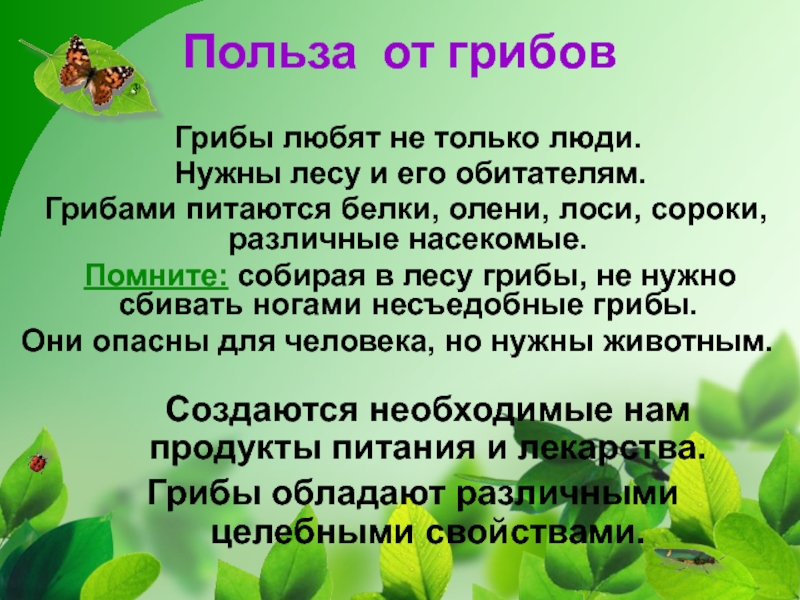 Грибы польза для организма женщины. Грибы вред и польза для человека. Полезные грибы для человека.