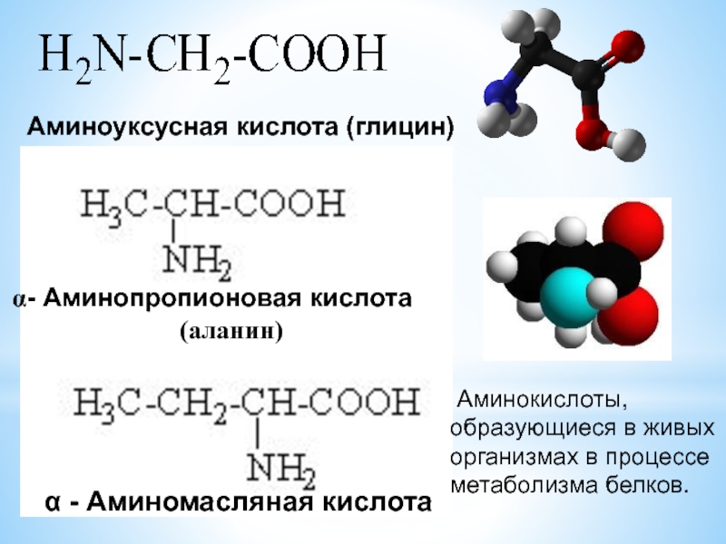 Аминокислоты 10 класс химия презентация габриелян