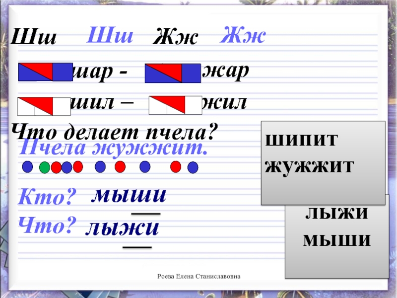 Жж жил. Пчела жужжит или шипит. Что делает пчела шипит жужжит. Кто мыши что лыжи. Схема на слово шар Жар шил жил.