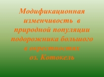 Модификационная изменчивость в природной популяции подорожника большого в окрестностях