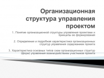 Организационная структура управления проектом