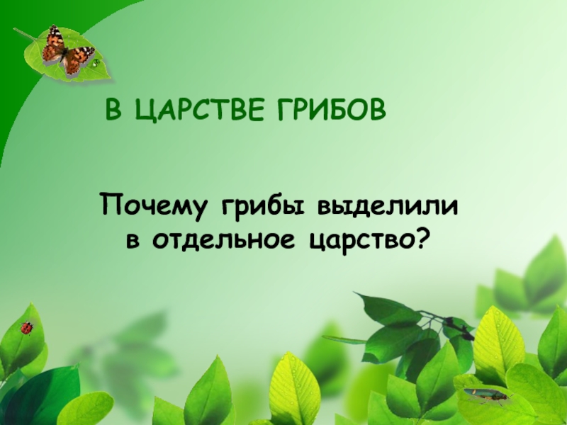 Почему грибы отдельное царство. Почему грибы выделяют в отдельное царство. Почему царство грибов выделили в отдельное царство. Почему грибы выделяются в отдельное царство.