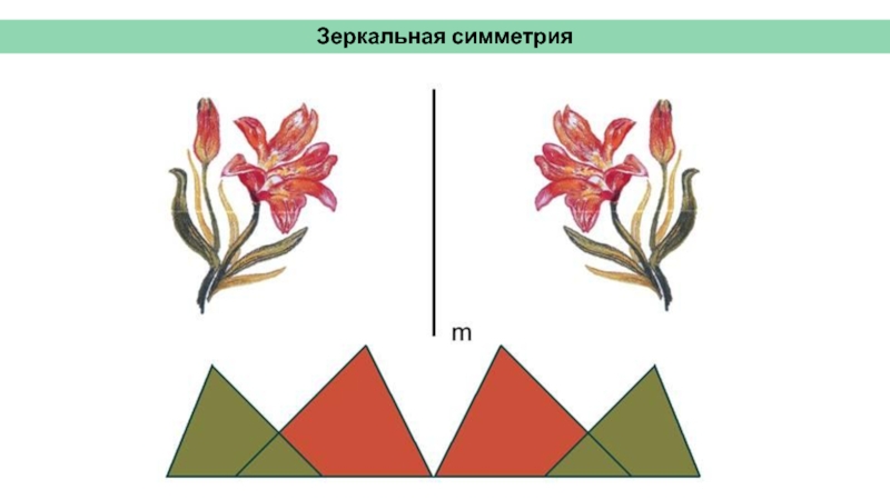 Рисунок зеркальной симметрии