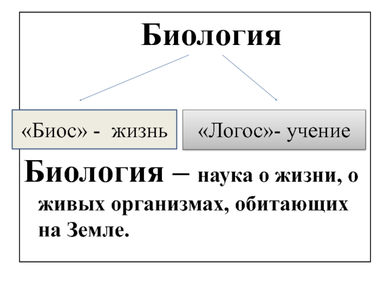 Биология 5 класс наука о живой природе презентация 5 класс