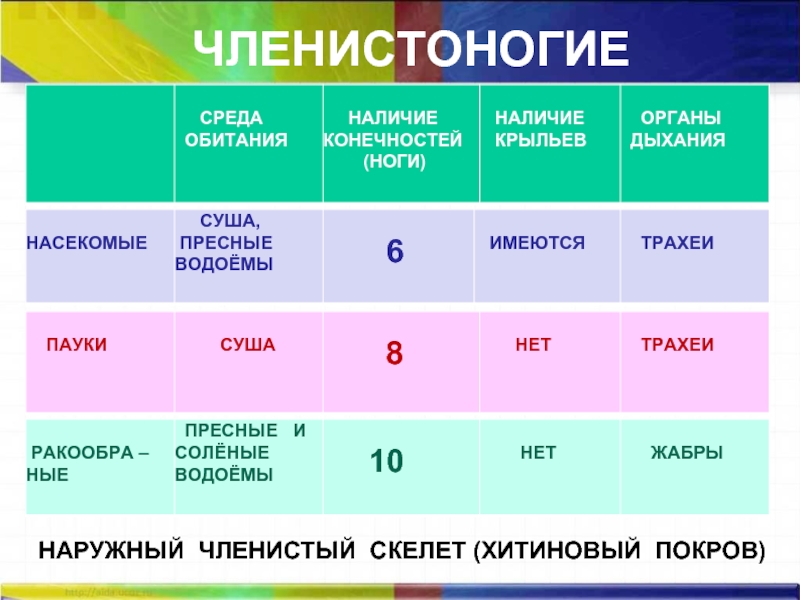 Тесты среда обитания пятый класс