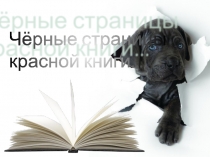 Что такое Чёрная книга