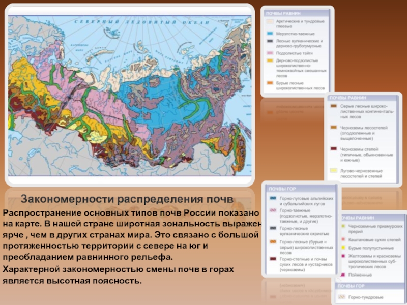 Контурная карта почв россии