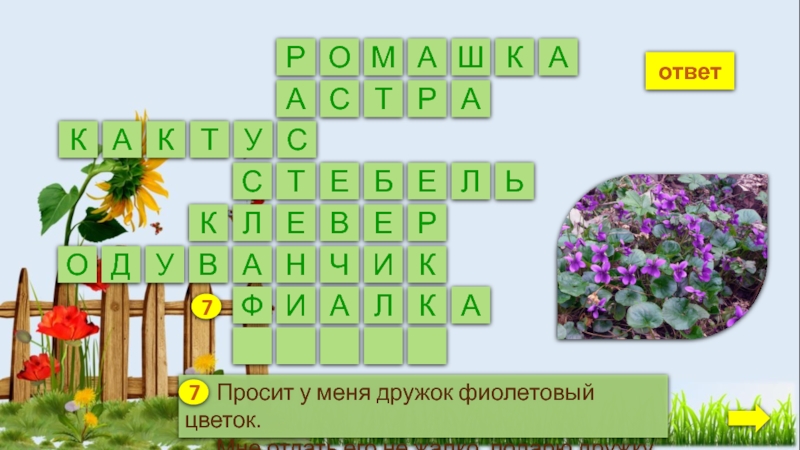 Лекарственное растение 8 букв кроссворд. Кроссворд разнообразие растений. Просит у меня дружок фиолетовый цветок. Многообразие плодов кроссворд.