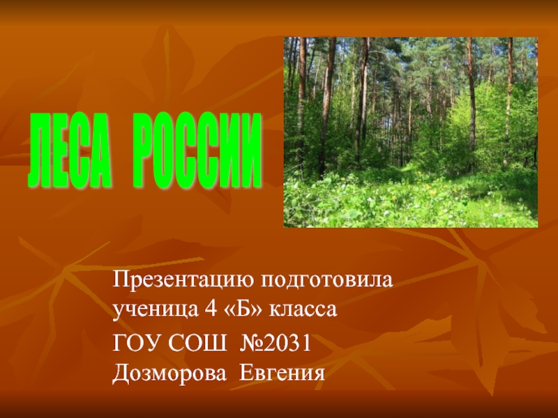 Леса России (4 класс)