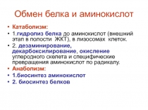 Обмен белка и аминокислот