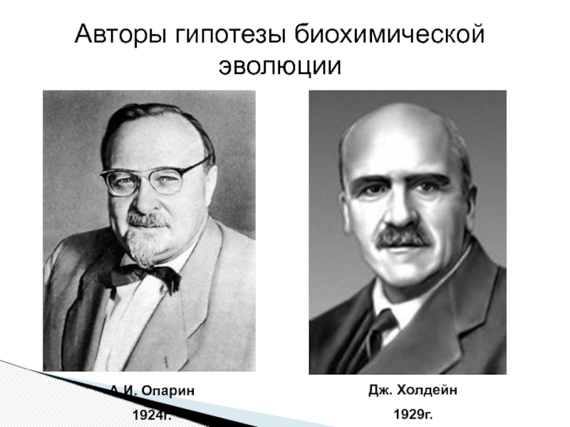 Дж эволюция. Опарин и Холдейн. Джон Холдейн. Джон Холдейн ученый. Холдейн синтетическая теория эволюции.