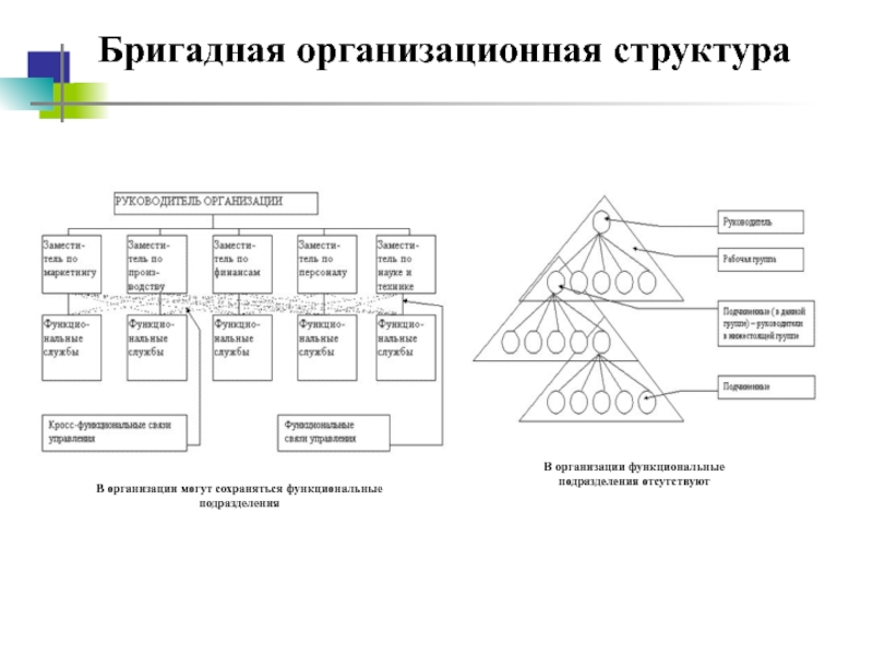 Диаграмма структуры организации