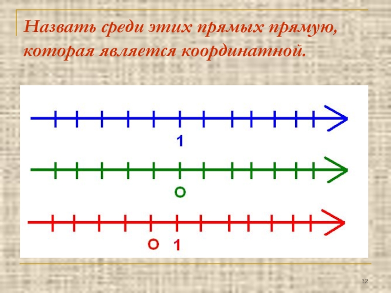 Какая из прямых является координатной