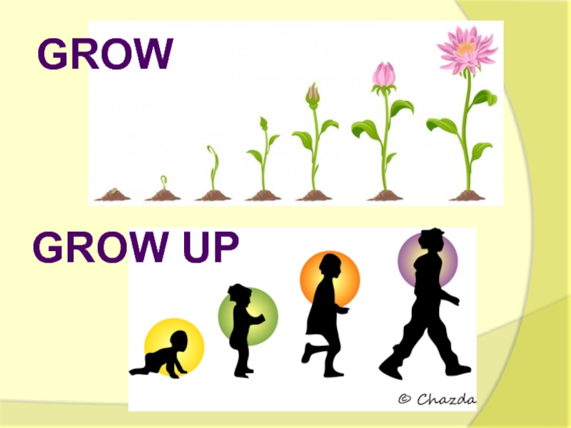 Growing up. Grow up. Глагол grow. Grow grew grown глаголы. Grow grow up разница.