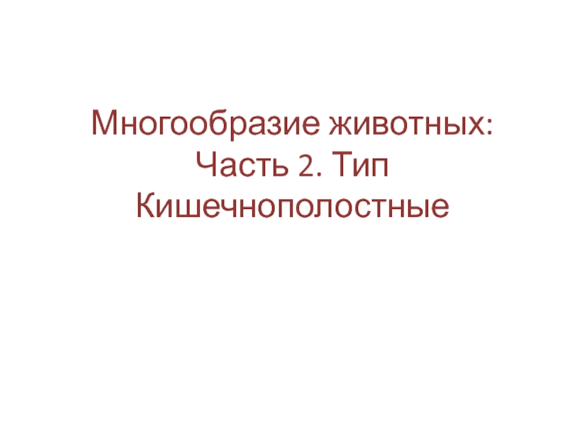 Презентация Многообразие животных: Часть 2. Тип Кишечнополостные