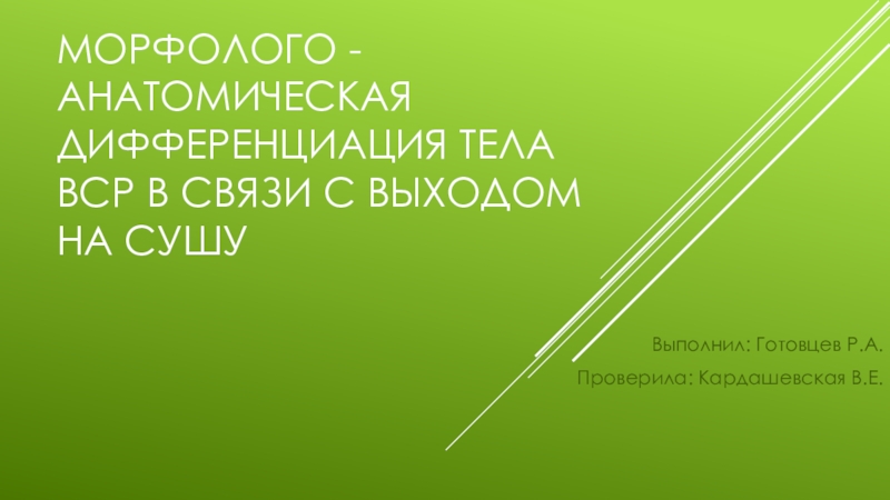 Презентация Морфолого -анатомическая дифференциация тела ВСР В СВЯЗИ С ВЫХОДОМ НА СУШУ