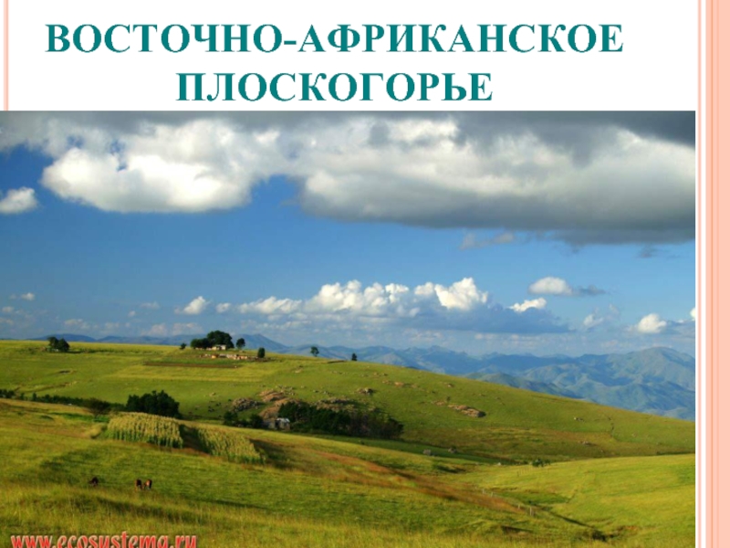 Восточно африканское плоскогорье. Точно африканское плоскогорье. Восточноафриканскре пласкогорье. Восточно Африканская п.